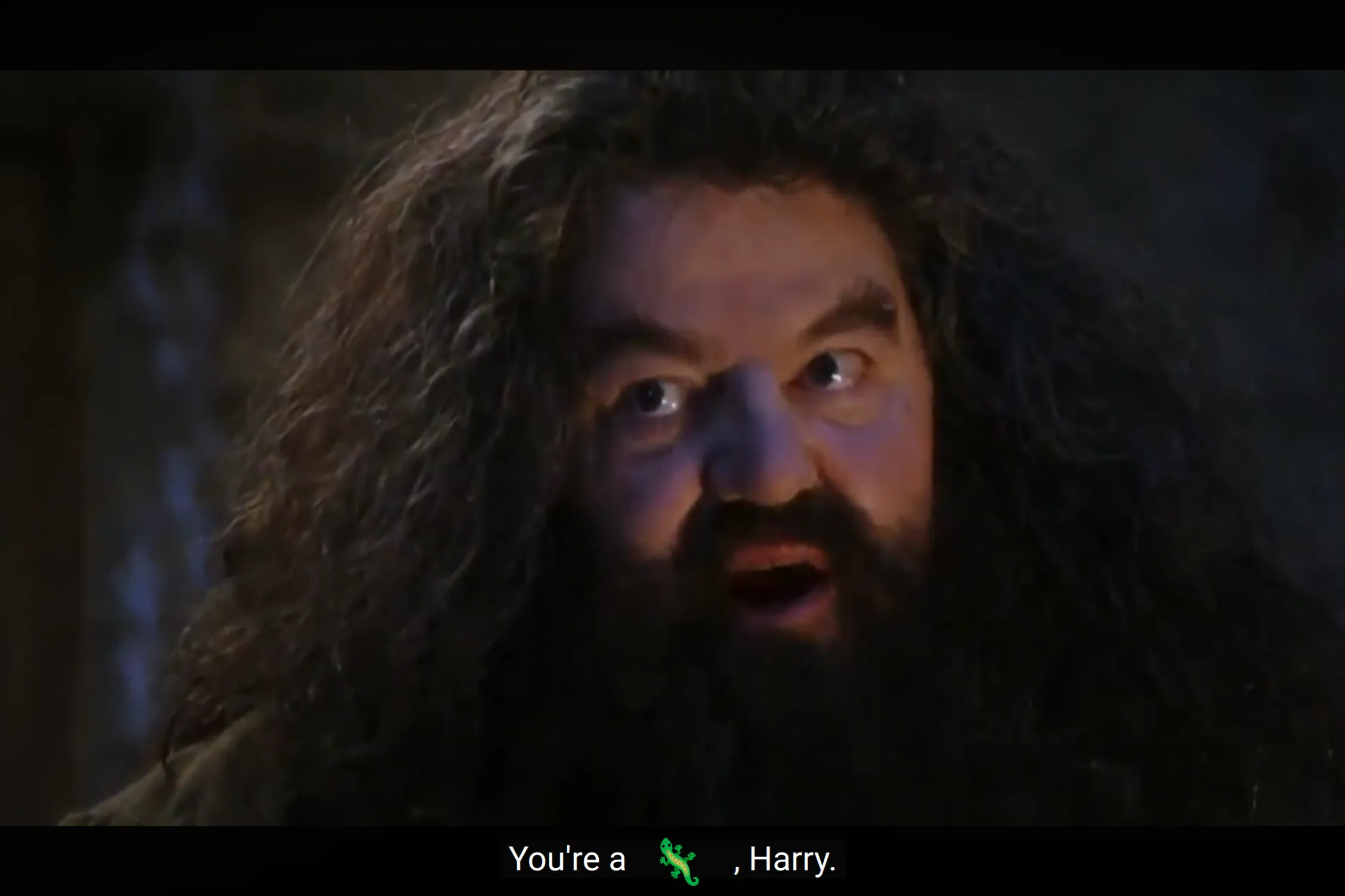 Hagrid saying You’re a Lizard Harry